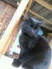 marysa_456754.jpg